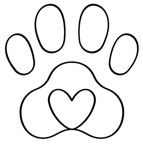 Dog Cremation in Phoenix