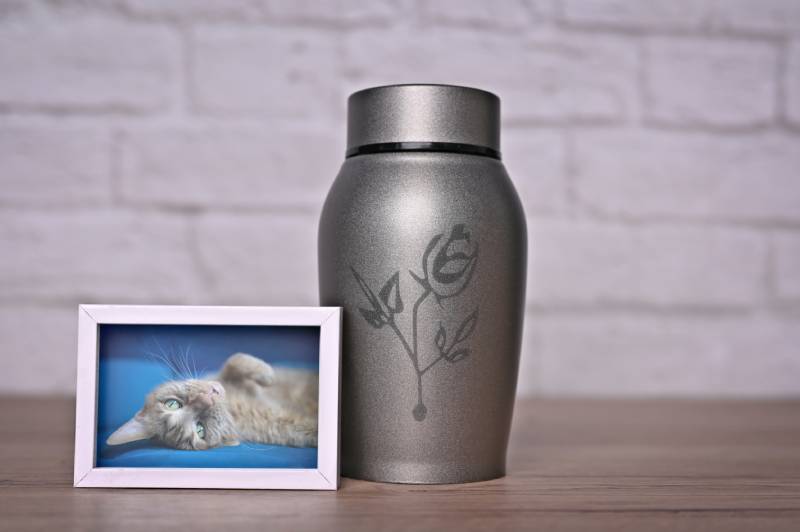 The L.E.A.S.H. Sapphire Package includes Individual Pet Aquamation and Keepsakes.