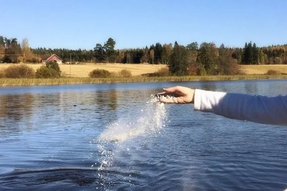 The L.E.A.S.H. Quartz Package is a Mass, Communal Aquamation. The aquamated remains are ethically disposed of by Crematory Staff.