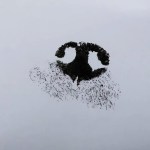 Ink Nose Print